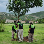 Preservación del medio ambiente.