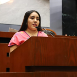 PIDE EL CONGRESO A SECRETARÍA DE SALUD REALIZAR UN DIAGNÓSTICO INTEGRAL DE LA PROBLEMÁTICA HOSPITALARIA