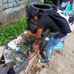 Mantiene la SSG acciones de control del dengue en Acapulco y Coyuca de Benítez.