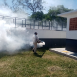 Se mantiene activa campaña para prevenir el dengue en Guerrero: SSG.