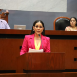 PROPONE DIPUTADA CITLALI CALIXTO LA LEY DE CONSULTA A LAS PERSONAS CON DISCAPACIDAD DEL ESTADO DE GUERRERO