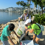 Realiza el gobierno estatal, sociedad civil y sociedad ambientalista, limpieza y restauración de la playa Tlacopanocha en Acapulco.
