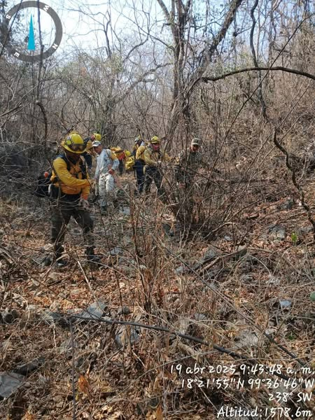 Autoridades continúan en la sofocación para el control del incendio en Cerro Grande, en el municipio de Iguala