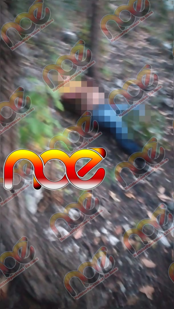 Maniatado, torturado y asesinado localizan a un masculino en los límites de Tlapa y Alcozauca, Gro.