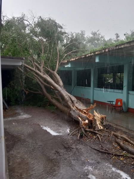 Personal de la SGIRPCGRO atiende afectaciones en Zumpango por tormenta local
